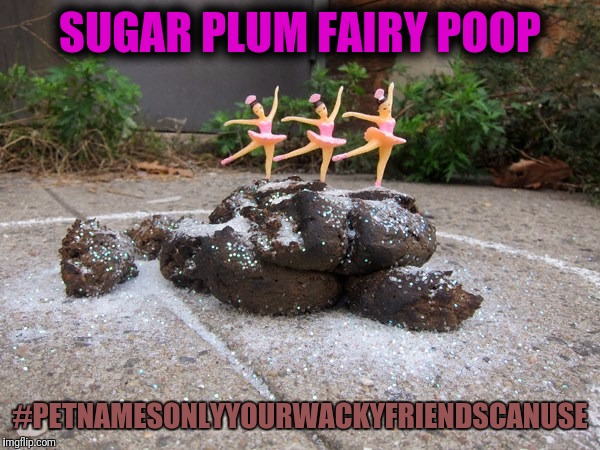 Sugar plum fairy poop | SUGAR PLUM FAIRY POOP; #PETNAMESONLYYOURWACKYFRIENDSCANUSE | image tagged in sugar,plum,fairy,poop,poo | made w/ Imgflip meme maker