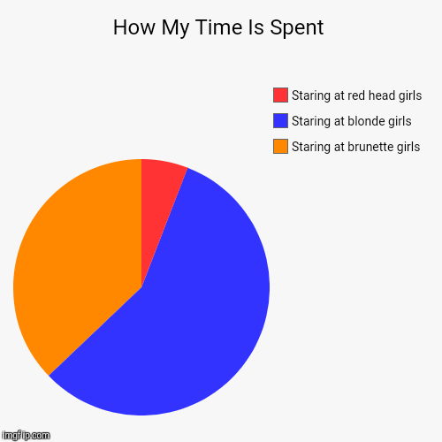 A TWO WEEK VACATION ! | image tagged in funny,pie charts | made w/ Imgflip chart maker