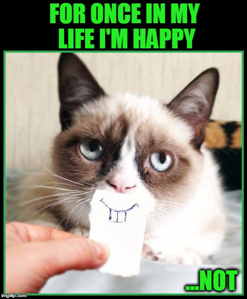 Don't Call me "Grumpy Cat" No More! | FOR ONCE IN MY LIFE I'M HAPPY; ...NOT | image tagged in vince vance,for once in my life,grumpy cat,cats,memes,grumpy cat smiles | made w/ Imgflip meme maker
