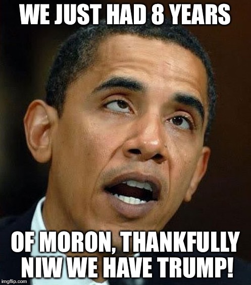 partisanship | WE JUST HAD 8 YEARS OF MORON, THANKFULLY NIW WE HAVE TRUMP! | image tagged in partisanship | made w/ Imgflip meme maker