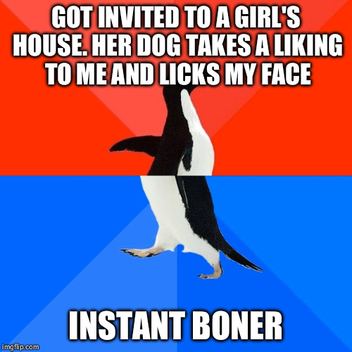 Socially Awesome Awkward Penguin | GOT INVITED TO A GIRL'S HOUSE. HER DOG TAKES A LIKING TO ME AND LICKS MY FACE; INSTANT BONER | image tagged in memes,socially awesome awkward penguin,AdviceAnimals | made w/ Imgflip meme maker
