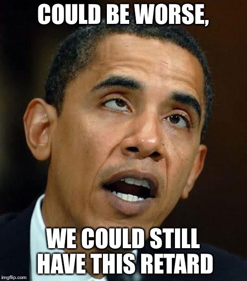 partisanship | COULD BE WORSE, WE COULD STILL HAVE THIS RETARD | image tagged in partisanship | made w/ Imgflip meme maker