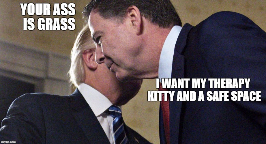 Trump Comey | YOUR ASS IS GRASS; I WANT MY THERAPY KITTY AND A SAFE SPACE | image tagged in trump comey | made w/ Imgflip meme maker