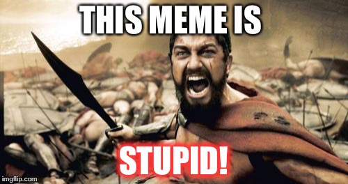 Sparta Leonidas | THIS MEME IS; STUPID! | image tagged in memes,sparta leonidas | made w/ Imgflip meme maker
