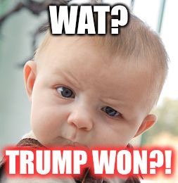 Skeptical Baby | WAT? TRUMP WON?! | image tagged in memes,skeptical baby | made w/ Imgflip meme maker