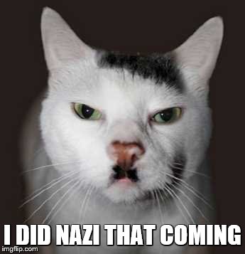 Nazi Cat | I DID NAZI THAT COMING | image tagged in nazi cat | made w/ Imgflip meme maker