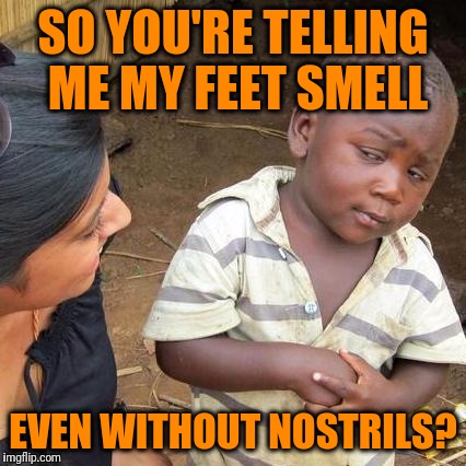 How is this possible? | SO YOU'RE TELLING ME MY FEET SMELL; EVEN WITHOUT NOSTRILS? | image tagged in memes,third world skeptical kid | made w/ Imgflip meme maker