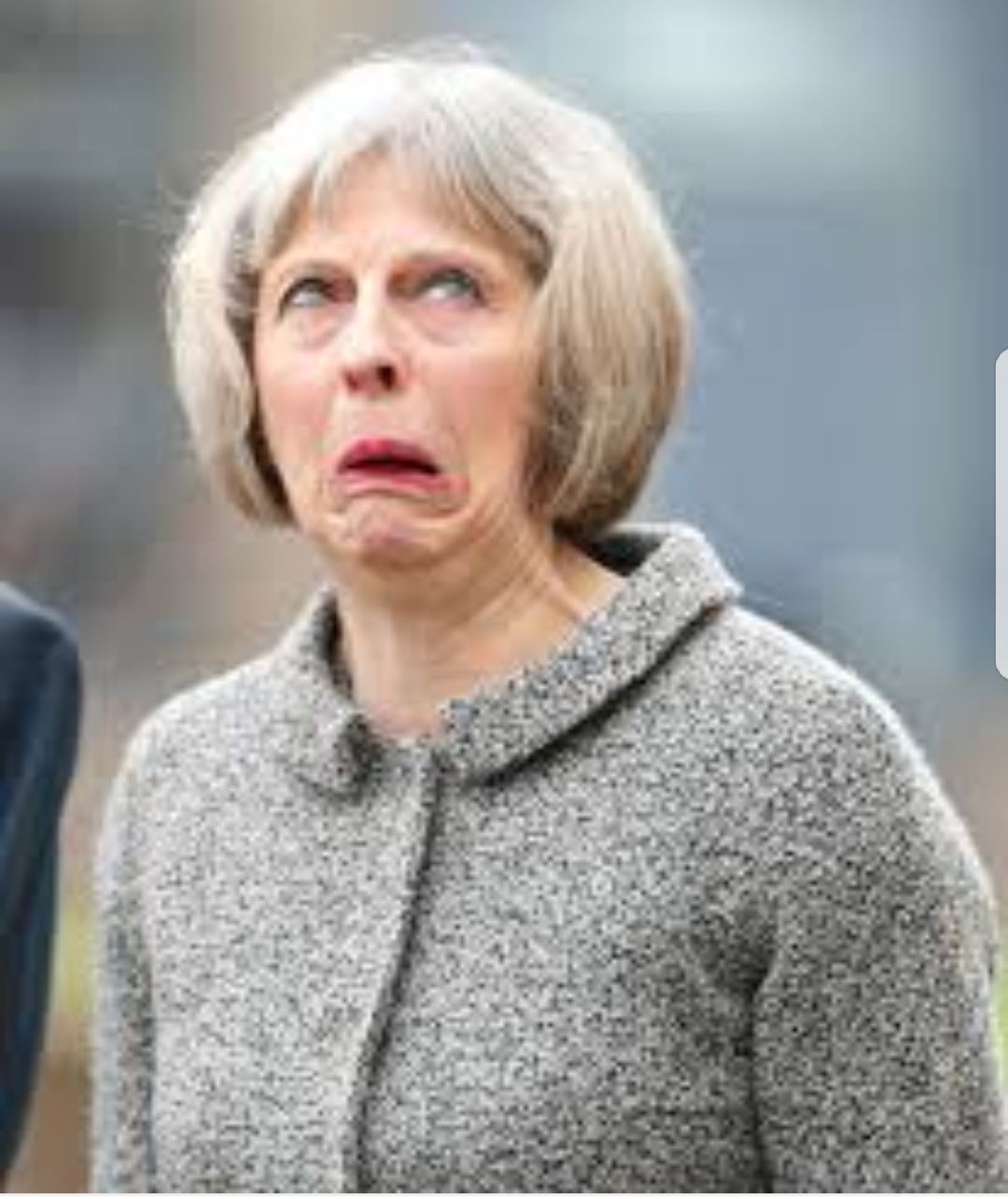 theresa mays war on terror Blank Meme Template