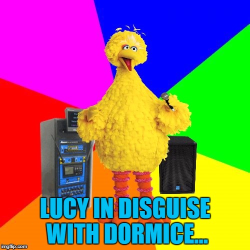 The original lyrics... :) | LUCY IN DISGUISE WITH DORMICE... | image tagged in wrong lyrics karaoke big bird,memes,beatles,lucy in the sky with diamonds,music,animals | made w/ Imgflip meme maker