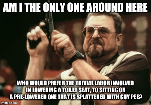 Am I The Only One Around Here | AM I THE ONLY ONE AROUND HERE; WHO WOULD PREFER THE TRIVIAL LABOR INVOLVED IN LOWERING A TOILET SEAT, TO SITTING ON A PRE-LOWERED ONE THAT IS SPLATTERED WITH GUY PEE? | image tagged in memes,am i the only one around here,AdviceAnimals | made w/ Imgflip meme maker