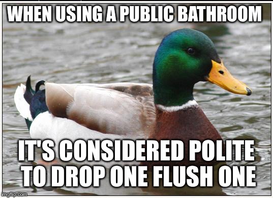 Actual Advice Mallard Meme | WHEN USING A PUBLIC BATHROOM; IT'S CONSIDERED POLITE TO DROP ONE FLUSH ONE | image tagged in memes,actual advice mallard | made w/ Imgflip meme maker