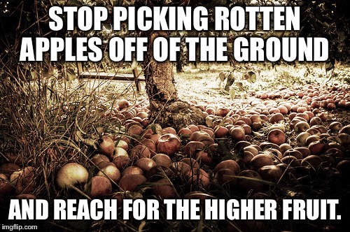 Relationship Advice.. Straight from my Aunt. | STOP PICKING ROTTEN APPLES OFF OF THE GROUND; AND REACH FOR THE HIGHER FRUIT. | image tagged in advice,relationships | made w/ Imgflip meme maker
