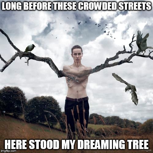 DMB The Dreaming Tree | LONG BEFORE THESE CROWDED STREETS; HERE STOOD MY DREAMING TREE | image tagged in dmb,dave matthews band,the dreaming tree,dream,long before these crowded streets here stood my dreaming tree | made w/ Imgflip meme maker