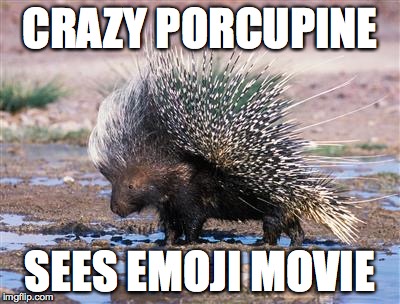 Porcupine At Emoji Movie | CRAZY PORCUPINE; SEES EMOJI MOVIE | image tagged in porcupine,emoji,movie,crazy | made w/ Imgflip meme maker