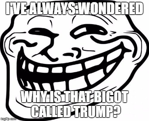 Troll Face | I'VE ALWAYS WONDERED; WHY IS THAT BIGOT CALLED TRUMP? | image tagged in memes,troll face | made w/ Imgflip meme maker