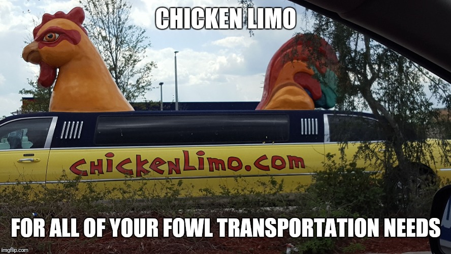 I found us a new animal related service | CHICKEN LIMO; FOR ALL OF YOUR FOWL TRANSPORTATION NEEDS | image tagged in fowl limmo,fowl,chicken,limo | made w/ Imgflip meme maker