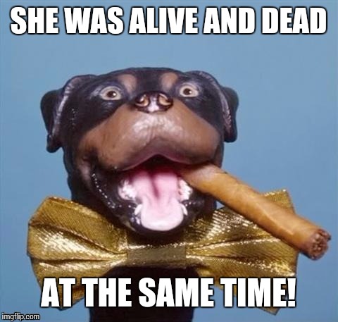 SHE WAS ALIVE AND DEAD AT THE SAME TIME! | made w/ Imgflip meme maker