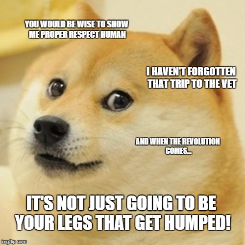 Doge Meme | YOU WOULD BE WISE TO SHOW ME PROPER RESPECT HUMAN; I HAVEN'T FORGOTTEN THAT TRIP TO THE VET; AND WHEN THE REVOLUTION COMES... IT'S NOT JUST GOING TO BE YOUR LEGS THAT GET HUMPED! | image tagged in memes,doge | made w/ Imgflip meme maker