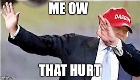 ME OW THAT HURT | image tagged in donald trump dab | made w/ Imgflip meme maker