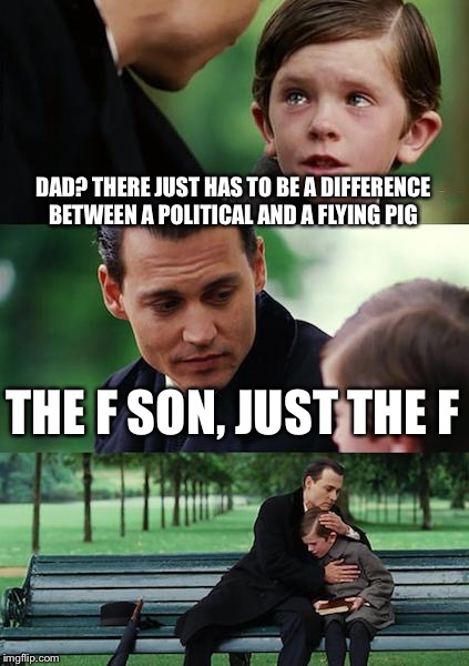 Political correctness  | DAD? THERE JUST HAS TO BE A DIFFERENCE BETWEEN A POLITICAL AND A FLYING PIG; THE F SON, JUST THE F | image tagged in memes,finding neverland,funny | made w/ Imgflip meme maker