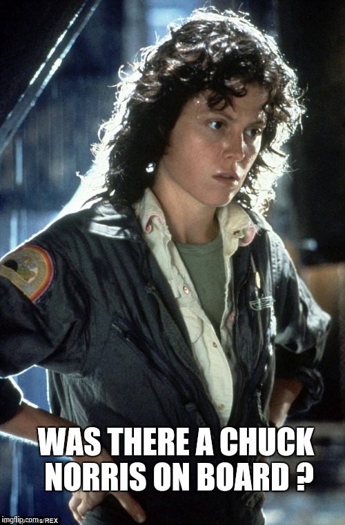 Sigourney Weaver | WAS THERE A CHUCK NORRIS ON BOARD ? | image tagged in sigourney weaver | made w/ Imgflip meme maker
