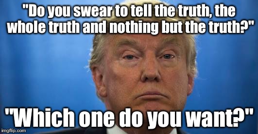 Trump | "Do you swear to tell the truth, the whole truth and nothing but the truth?"; "Which one do you want?" | image tagged in oath | made w/ Imgflip meme maker