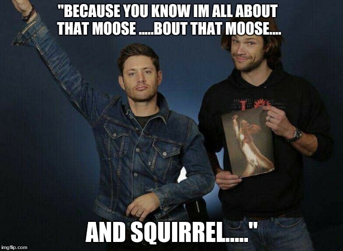 Moose and Squirrel | "BECAUSE YOU KNOW IM ALL ABOUT THAT MOOSE .....BOUT THAT MOOSE.... AND SQUIRREL....." | image tagged in jensen ackles,jared padalecki | made w/ Imgflip meme maker
