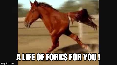 Memes, Horse, Funny | A LIFE OF FORKS FOR YOU ! | image tagged in memes horse funny | made w/ Imgflip meme maker