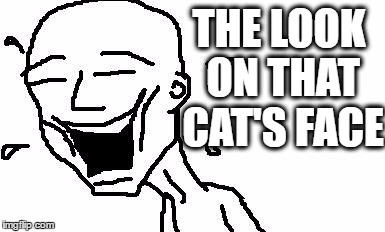 LMAO! | THE LOOK ON THAT CAT'S FACE | image tagged in lmao | made w/ Imgflip meme maker