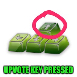 UPVOTE KEY PRESSED | image tagged in upvote key | made w/ Imgflip meme maker