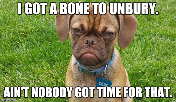 Ain't Nodoggy Got Time For That | I GOT A BONE TO UNBURY. AIN'T NOBODY GOT TIME FOR THAT. | image tagged in aint nobody got time for that | made w/ Imgflip meme maker