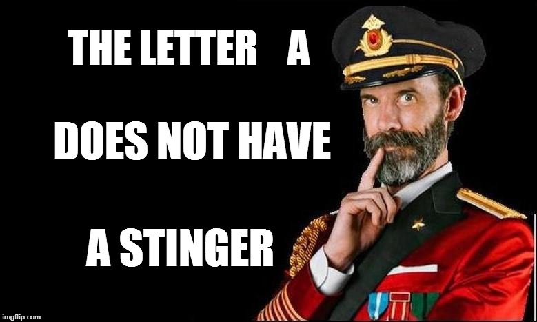 THE LETTER    A A STINGER DOES NOT HAVE | made w/ Imgflip meme maker