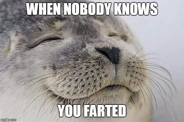 Satisfied Seal Meme | WHEN NOBODY KNOWS; YOU FARTED | image tagged in memes,satisfied seal | made w/ Imgflip meme maker