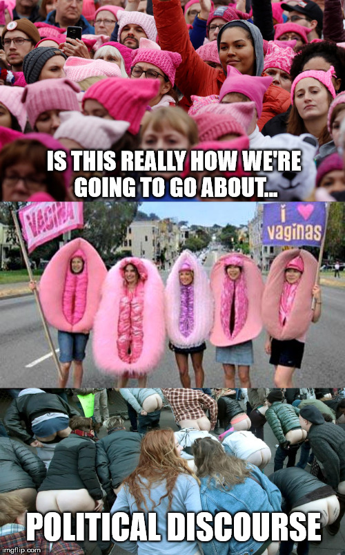 Really? | IS THIS REALLY HOW WE'RE GOING TO GO ABOUT... POLITICAL DISCOURSE | image tagged in pussy hats,vagina,donald trump,mooning,rump,ass | made w/ Imgflip meme maker