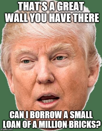 THAT'S A GREAT WALL YOU HAVE THERE CAN I BORROW A SMALL LOAN OF A MILLION BRICKS? | image tagged in trump head | made w/ Imgflip meme maker