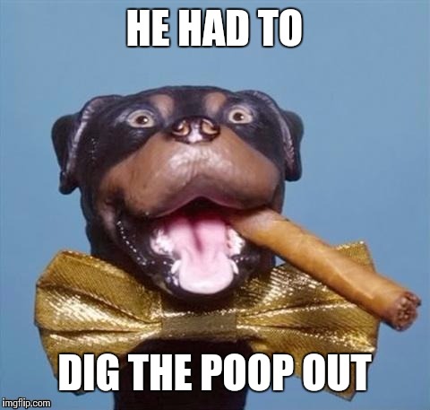 HE HAD TO DIG THE POOP OUT | made w/ Imgflip meme maker
