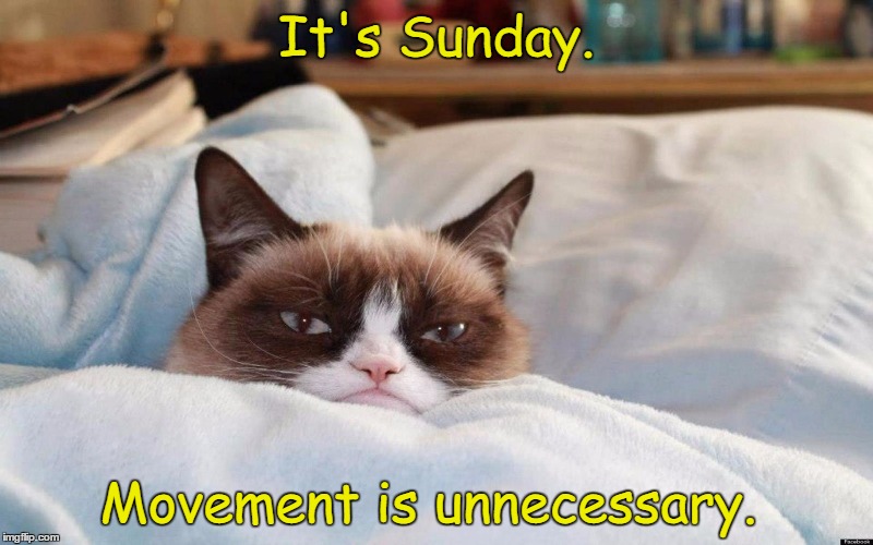 Happy Sunday, Everyone!  | It's Sunday. Movement is unnecessary. | image tagged in grumpy cat bed,grumpy cat | made w/ Imgflip meme maker