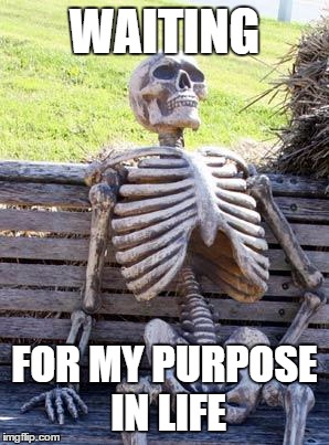 Waiting Skeleton Meme | WAITING; FOR MY PURPOSE IN LIFE | image tagged in memes,waiting skeleton | made w/ Imgflip meme maker