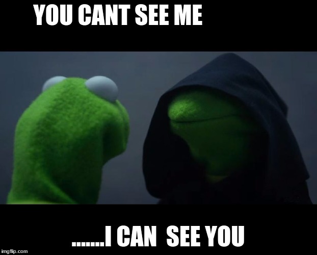 Evil Kermit Meme | YOU CANT SEE ME; .......I CAN  SEE YOU | image tagged in evil kermit meme | made w/ Imgflip meme maker