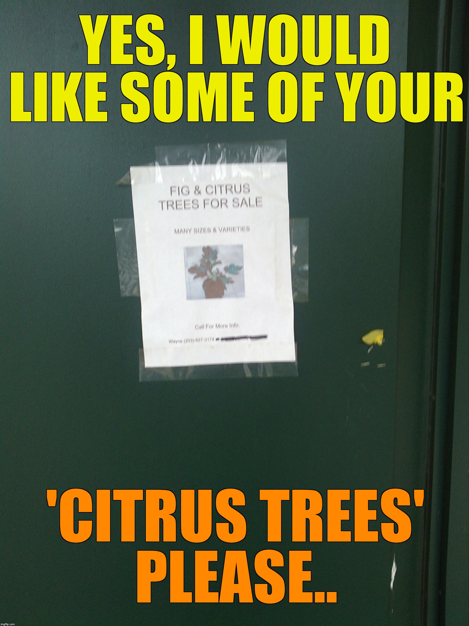 YES, I WOULD LIKE SOME OF YOUR; 'CITRUS TREES' PLEASE.. | image tagged in buying what | made w/ Imgflip meme maker