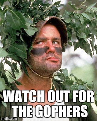 Bill Murray camouflaged | WATCH OUT FOR THE GOPHERS | image tagged in bill murray camouflaged | made w/ Imgflip meme maker