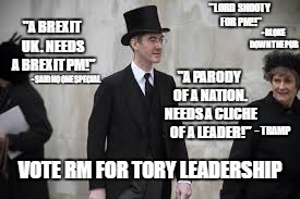 Rees Mogg Lord Snooty | "LORD SNOOTY FOR PM!!"; "A BREXIT UK. NEEDS A BREXIT PM!"; - BLOKE DOWN THE PUB; "A PARODY OF A NATION. NEEDS A CLICHE OF A LEADER!"; - SAID NO ONE SPECIAL; - TRAMP; VOTE RM FOR TORY LEADERSHIP | image tagged in rees mogg lord snooty | made w/ Imgflip meme maker