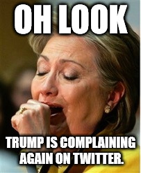 Yawn | OH LOOK; TRUMP IS COMPLAINING AGAIN ON TWITTER. | image tagged in yawn | made w/ Imgflip meme maker