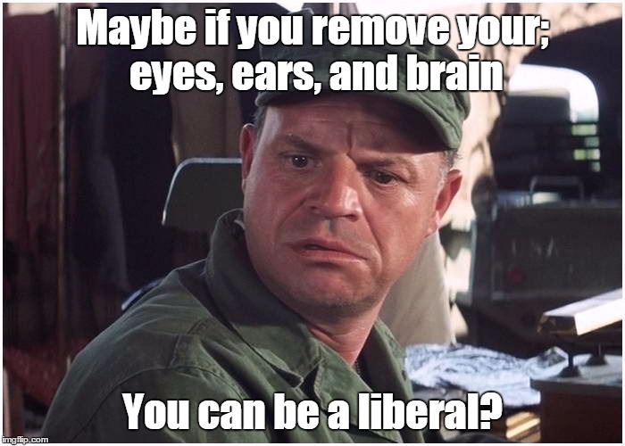 Don Rickles | Maybe if you remove your; eyes, ears, and brain; You can be a liberal? | image tagged in don,rickles,don rickles,kellys heroes | made w/ Imgflip meme maker