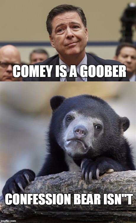 THE DIFFERENCE BETWEEN COMEY AND CONFESSION BEAR | COMEY IS A GOOBER; CONFESSION BEAR ISN"T | image tagged in james comey,comey don't know,confession bear,james comey bad pun | made w/ Imgflip meme maker