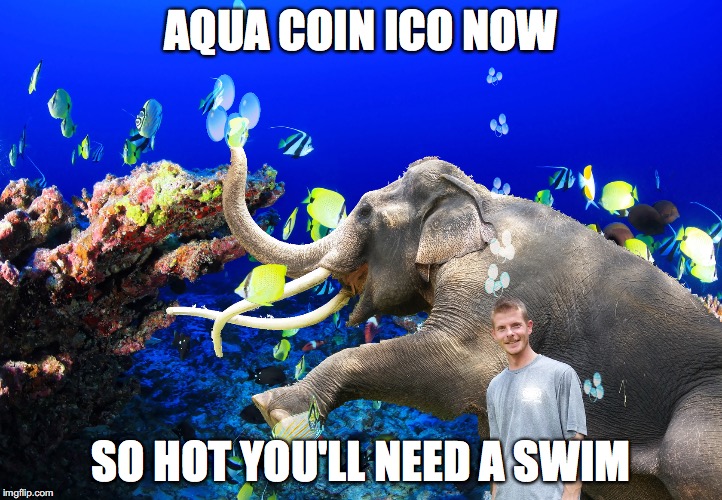 AQUA COIN ICO NOW; SO HOT YOU'LL NEED A SWIM | made w/ Imgflip meme maker