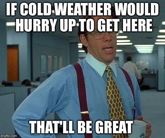 That Would Be Great Meme | IF COLD WEATHER WOULD HURRY UP TO GET HERE; THAT'LL BE GREAT | image tagged in memes,that would be great | made w/ Imgflip meme maker