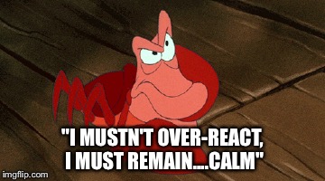 "I MUSTN'T OVER-REACT, I MUST REMAIN....CALM" | image tagged in memes | made w/ Imgflip meme maker