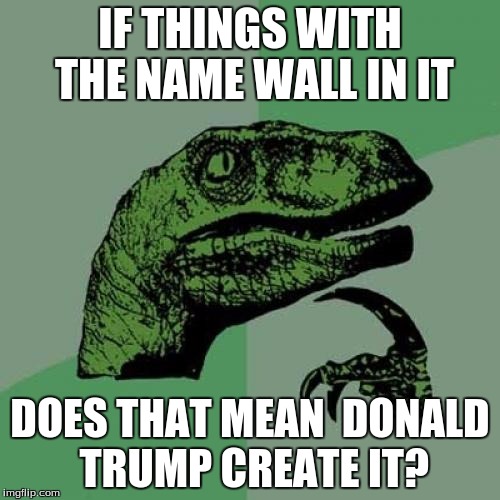 Philosoraptor Meme | IF THINGS WITH THE NAME WALL IN IT; DOES THAT MEAN  DONALD TRUMP CREATE IT? | image tagged in memes,philosoraptor | made w/ Imgflip meme maker
