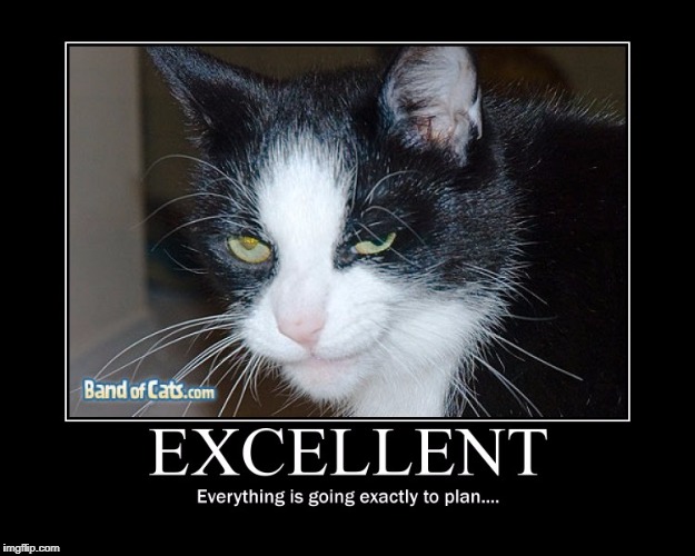 When the plan is going well for the cats | EXCELLENT Everything is going exactly to plan | image tagged in demotivationals,evil cat,planning | made w/ Imgflip meme maker